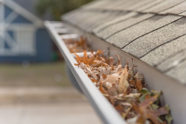 Leaf Barrier Installation in Livermore